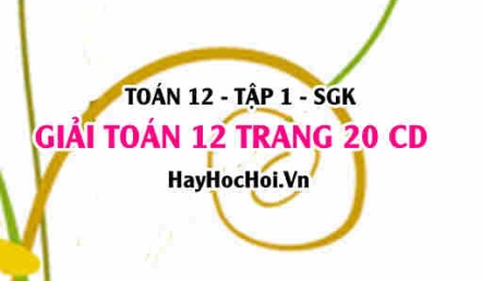 Giải Toán 12 trang 20 tập 1 Cánh Diều